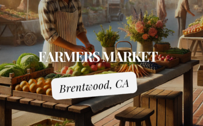 Farmers Market in Brentwood, CA